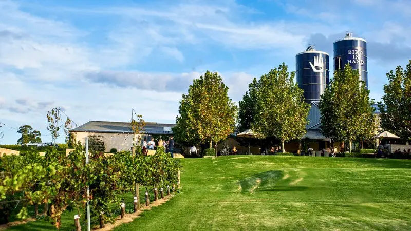 The beautiful grounds of Bird in Hand Winery in Adelaide Hills, great for wine tasting.