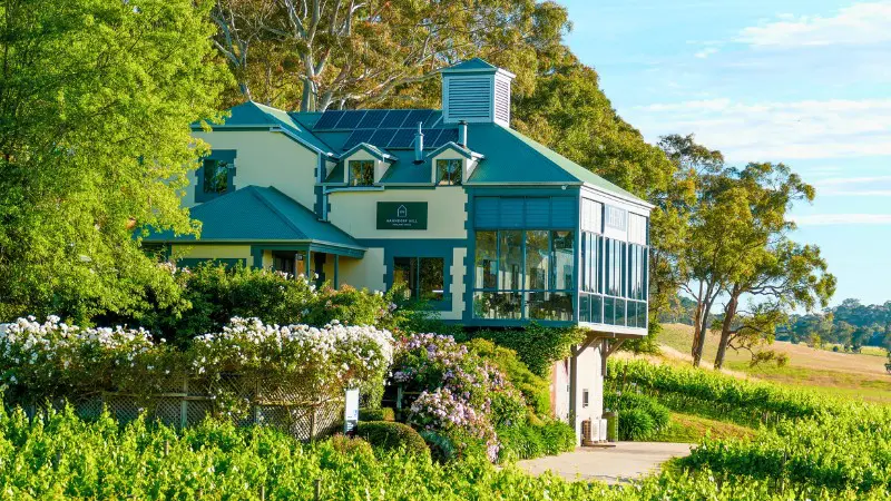 Vineyard views from Hahndorf Hill Winery in Adelaide Hills, a popular wine tasting spot.