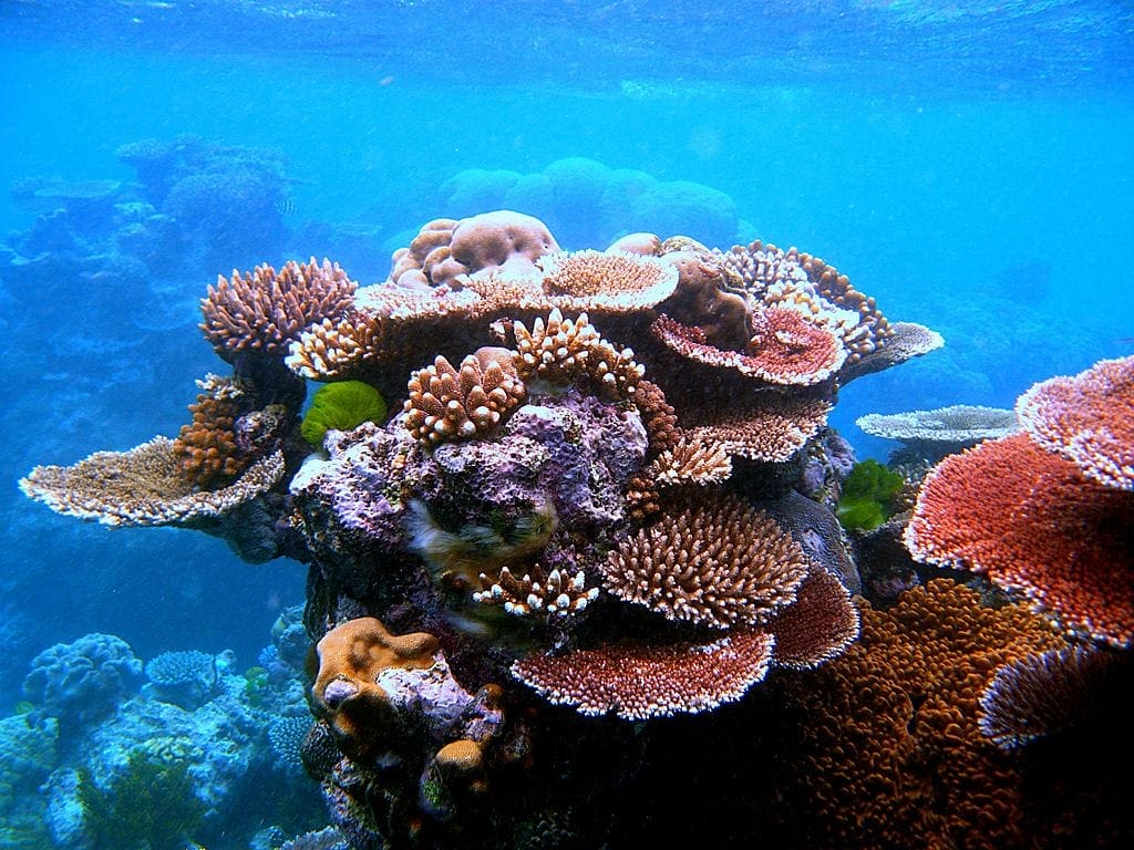 Qualia’s Great Barrier Reef Expeditions - Destination