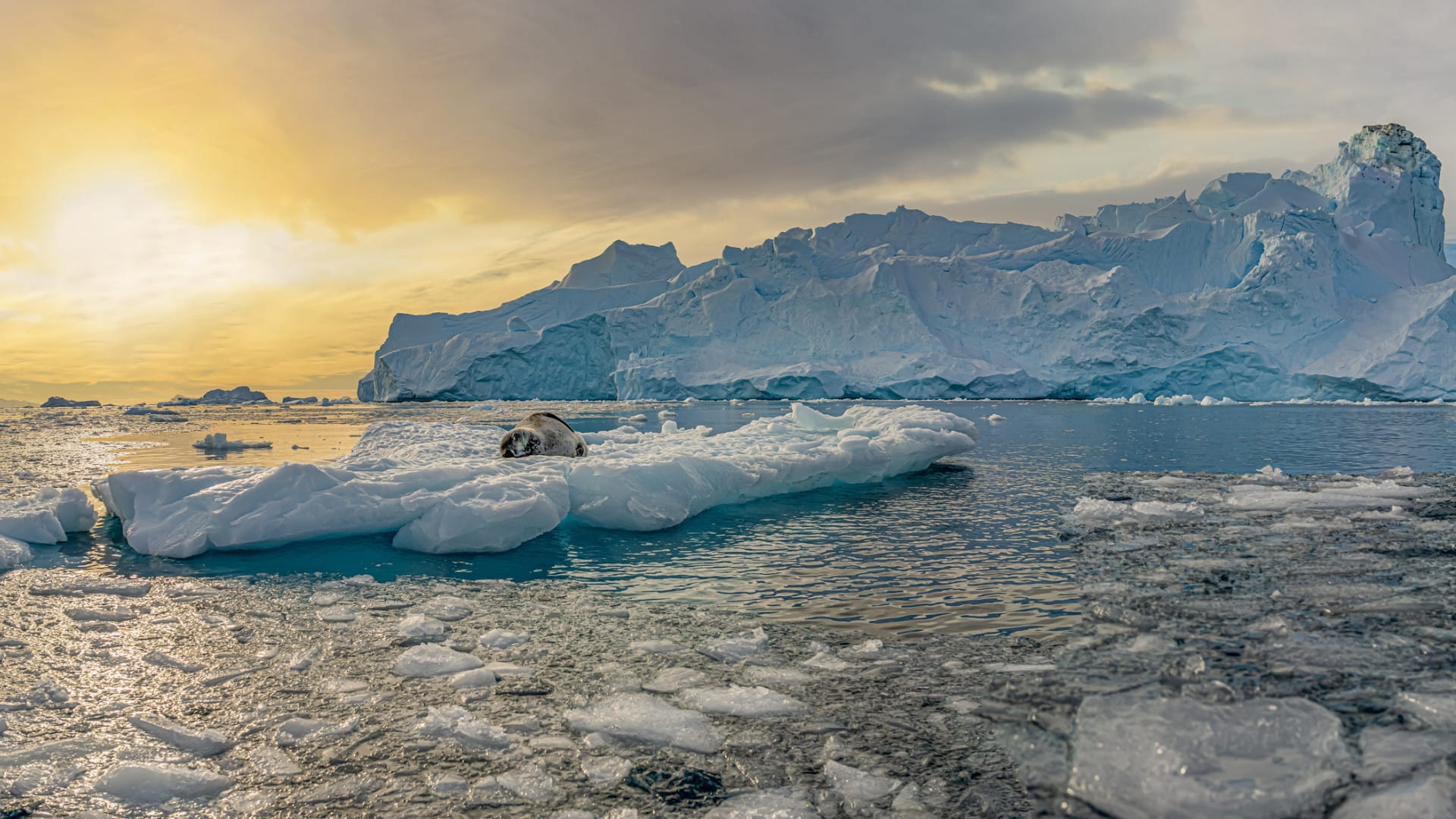 Image of Ice in Antarctica