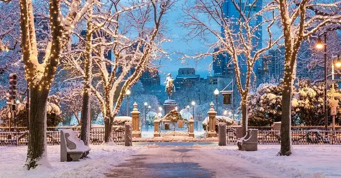 Beautiful park in winter