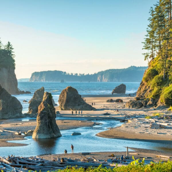 Image from a beach in Washington