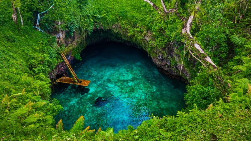 A mesmerizing in-land blue hole surrounded by dense, lush greenery.
