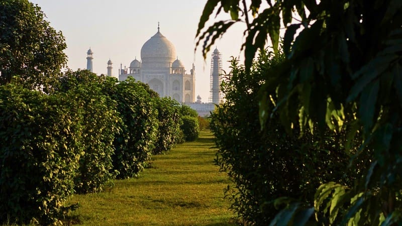 Mehtab Bagh beautiful garden with a perfect view of the Taj Mahal, ideal for peaceful walks and photography.