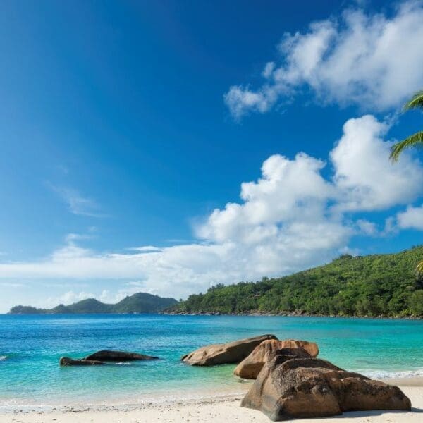 island in the Bahamas - Tropical island beach with turquoise waters and white sand.