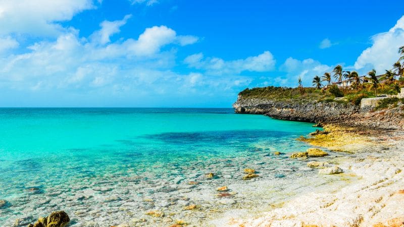 Rocky coastline of Eleuthera Island, Bahamas, with clear turquoise waters, palm trees, and a bright blue sky.