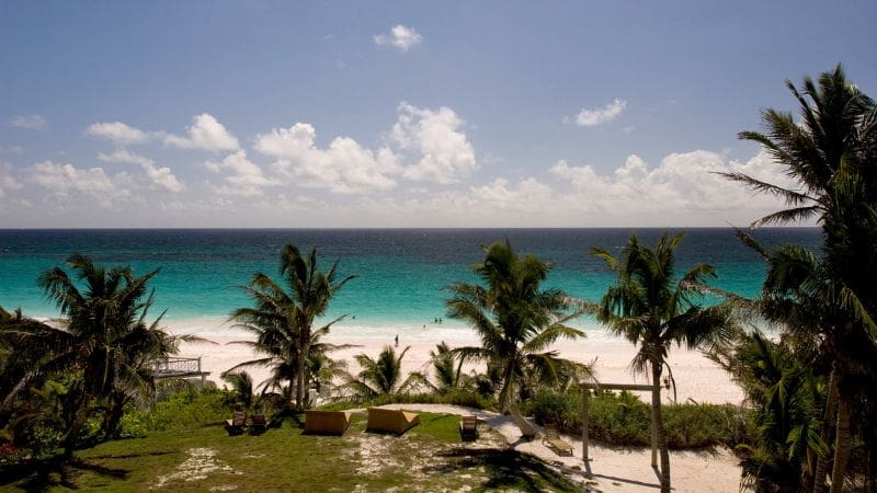 Tropical beach view from Harbour Island, Bahamas, with palm trees, white sand, and clear turquoise waters.