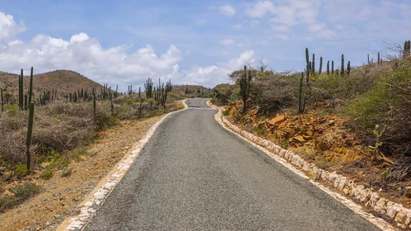 Desert road with cacti lining the path in Arikok National Park.