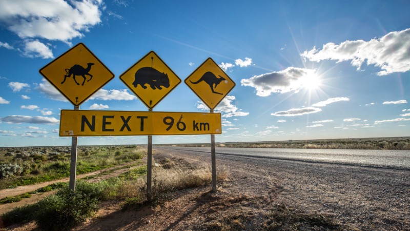 Unique wildlife warning signs on an Australian outback road.