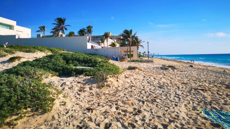 Serene waves touch the sandy shore of Playa San Miguelito, lined with lush beachfront homes.