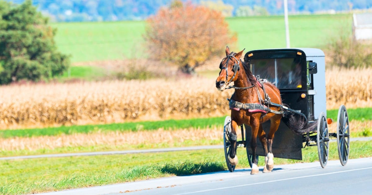 Best things to do in Berlin Ohio - Discover the charming Amish Country attractions and events.