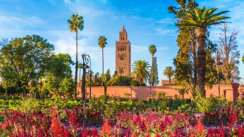 See Koutoubia Mosque, great for lovers of old buildings in Marrakech.