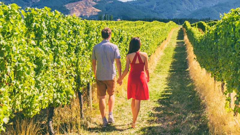 Couple walking through sunny vineyard rows in Argentina wine country.