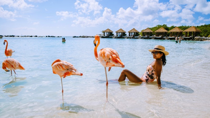 Visit Flamingo Beach in Aruba to see pink flamingos in shallow waters.